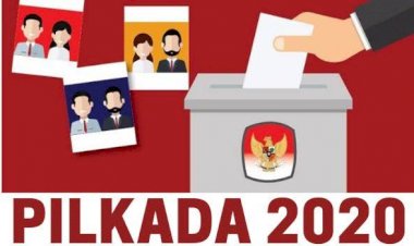 Perang Saudara Rebut Kursi Bupati Terjadi di Tanjab Barat