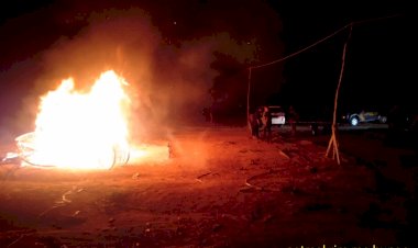 Gerebek Judi Sabung Ayam Antar Provinsi di Dusun Dwi Karya Bakti, Kapolres: Arenanya Kita Bongkar!