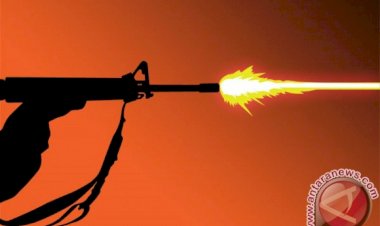 Kelompok Bersenjata Tewaskan Anggota TNI dan Warga Sipil, Begini Kata Danrem 173/PVB