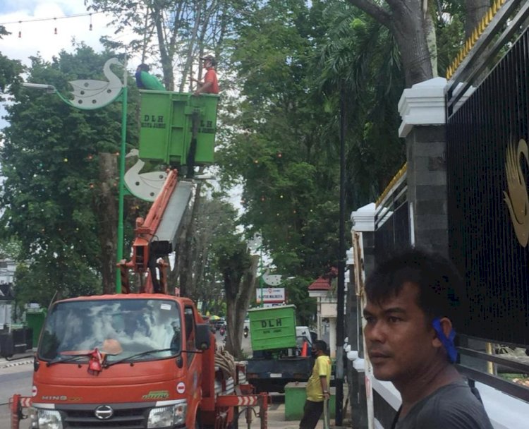 Banyak Pohon Rawan Tumbang di Kota Jambi, Ini yang Dilakukan Dinas Lingkungan Hidup