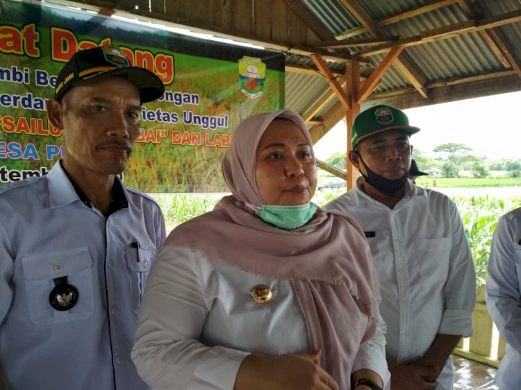 2 Kelurahan dan 1 Desa di Muarojambi Ini Kecipratan Dana Rp 1 Miliar, Ini Penjelasannya