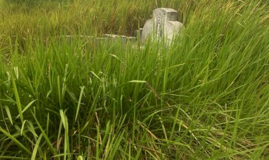 Miris, Begini Kondisi Kuburan Cina di Kota Jambi