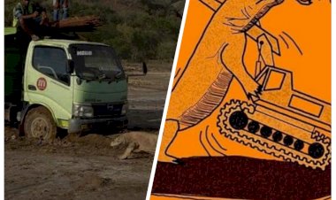 Viral Komodo Hadang Truk Proyek, Muncul Tagar SaveKomodo, Begini Kata PUPR