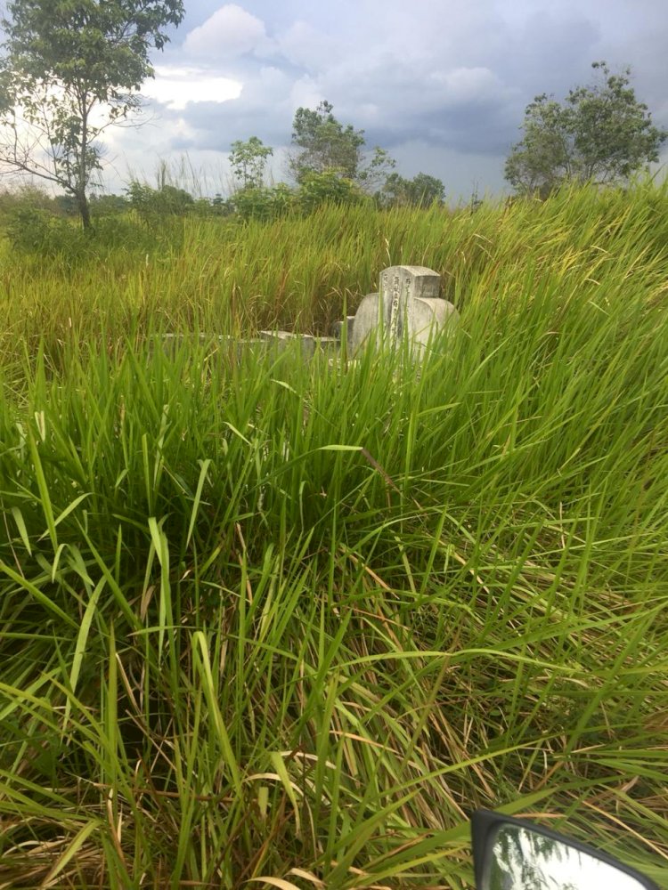 Miris, Begini Kondisi Kuburan Cina di Kota Jambi