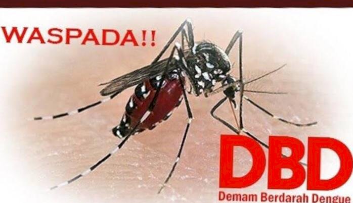 Lebih Parah dari Corona, DBD Mulai Menyerang Warga Kota Jambi, 8 Orang Meninggal