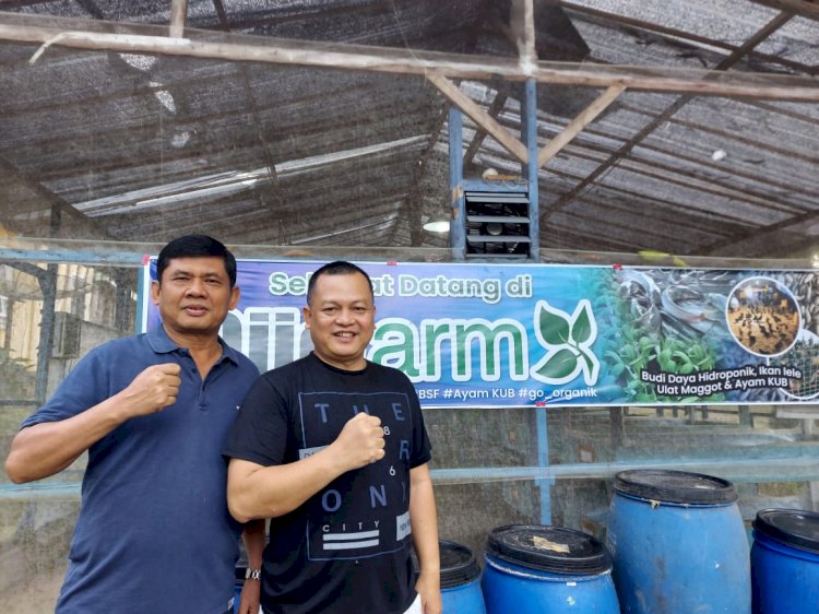 Sambangi Merangin, Syafril Nursal Tinjau Pengembangan Budidaya Ayam Kampung Unggul