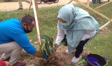 Bupati Masnah dan Kapolda Jambi Tanam Pohon Bulian di Desa Pulau Kayu Aro