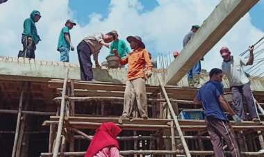 Sambut Al Haris Pulang, Warga Luhak 16 Potong Sapi