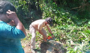 Banjir di Bungo 765 Kepala Keluarga Terdampak, Akses Jalan Satu Desa Terputus Total
