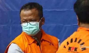 Desak Pengganti Menteri KKP Edhy Prabowo Cabut Aturan Ekspor Benih Lobster