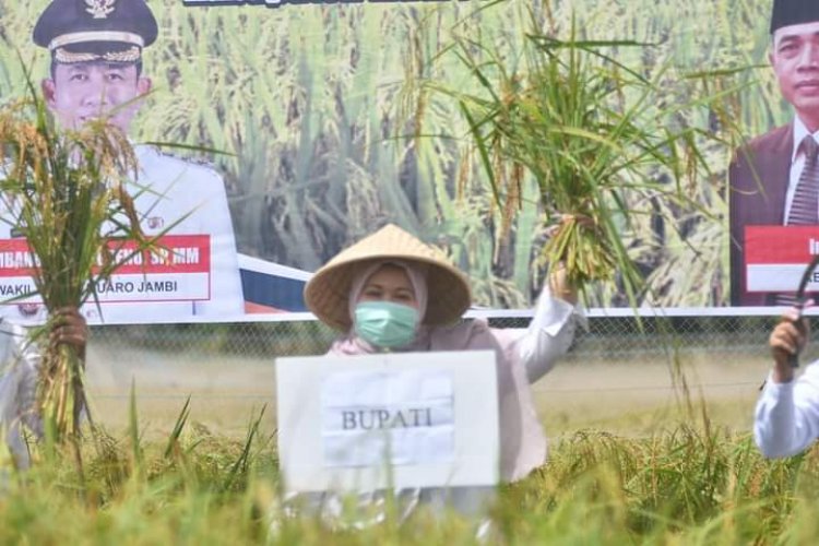 Bupati Masnah : Alhamdulillah Muarojambi Punya Benih Padi Varietas Unggulan yang Sudah Dipatenkan