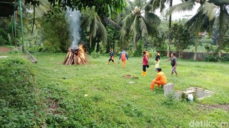 Miliaran Semut Meneror di Banyumas, Begini Kata Pakar