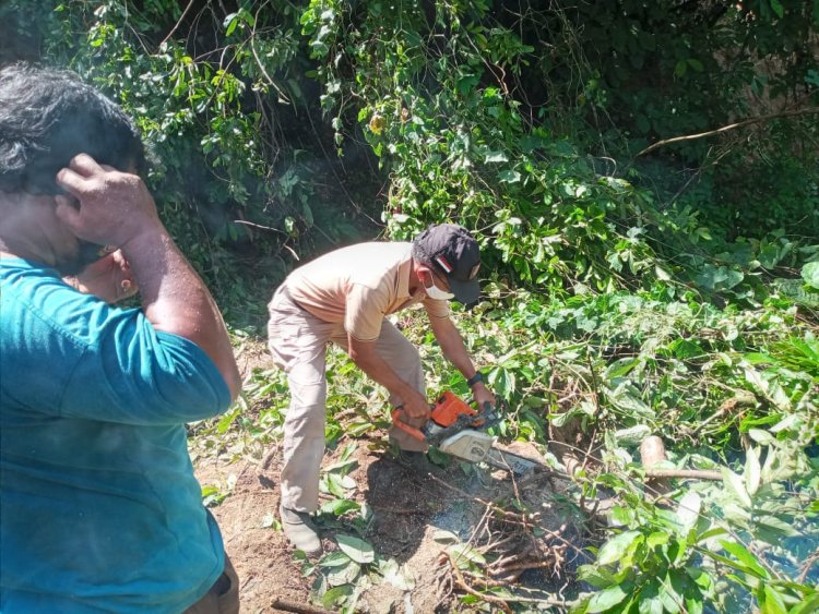 Banjir di Bungo 765 Kepala Keluarga Terdampak, Akses Jalan Satu Desa Terputus Total