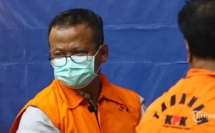 Desak Pengganti Menteri KKP Edhy Prabowo Cabut Aturan Ekspor Benih Lobster