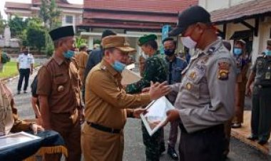 Pejuang Covid-19 Merangin Diberi Penghargaan