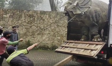 Viral Dinosaurus di Magetan, Begini Kata Pemilik