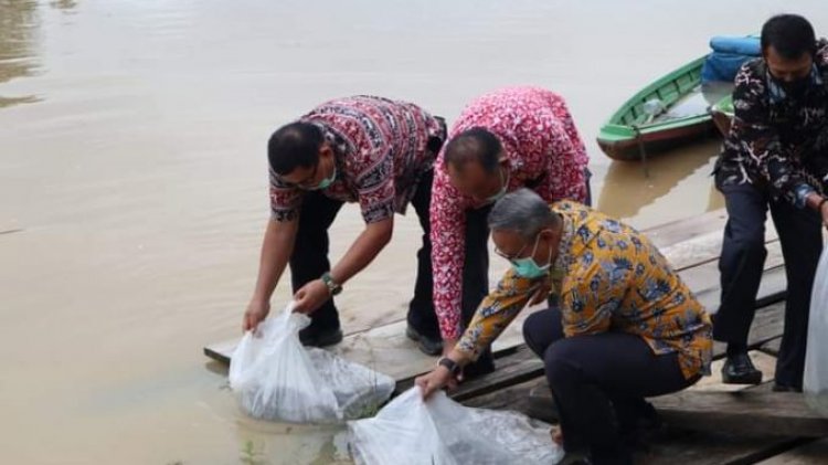 Peringati Hari Lingkungan Hidup Pemkab Bungo Tebar Benih Ikan & Tanam Pohon