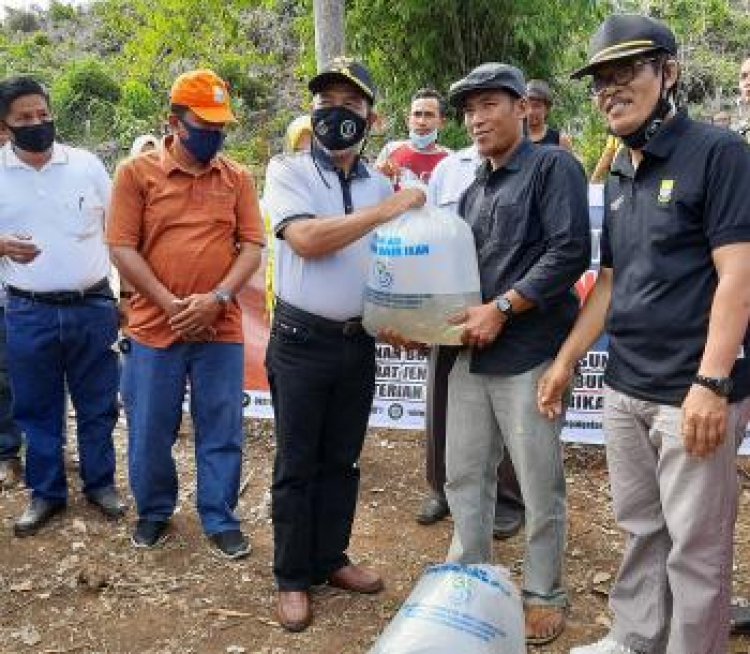 Wabup Merangin Salurkan dan Tebar Benih Ikan Bantuan BPBAT