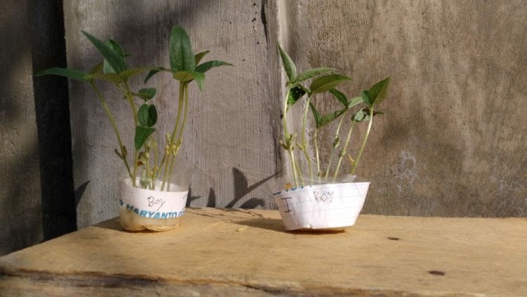 Refleksi Akhir Tahun Bidang Pendidikan di Masa Pandemi, dari Kacang Hijau Hingga Poster Cegah Covid-19