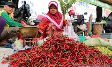 Harga Cabai Merah Keriting Tembus Rp100.000/Kg