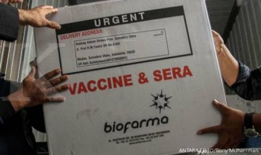 Sah! MUI Halalkan Vaksin Sinovac Melalui Fatwa