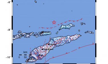 Giliran Alor NTT Diguncang Gempa Bumi 5,2 Magnitudo