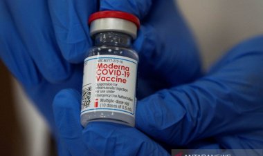 Pakar WHO akan Keluarkan Rekomendasi vaksin Moderna Pekan Depan