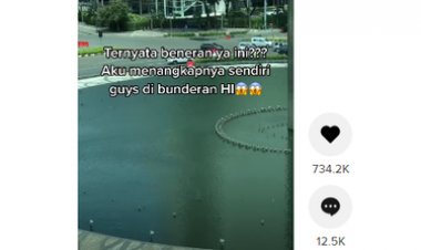 Viral Benda Bergerak di Kolam Bundaran HI dan Dikira Buaya atau Ular, Begini Kata Dinas Terkait