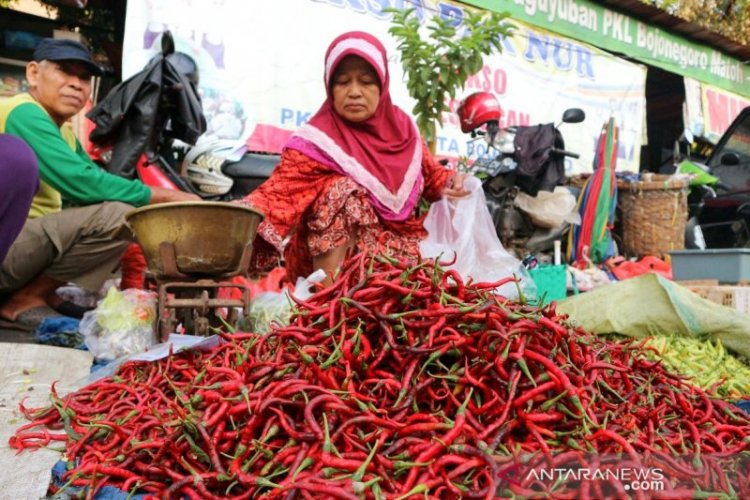 Harga Cabai Merah Keriting Tembus Rp100.000/Kg