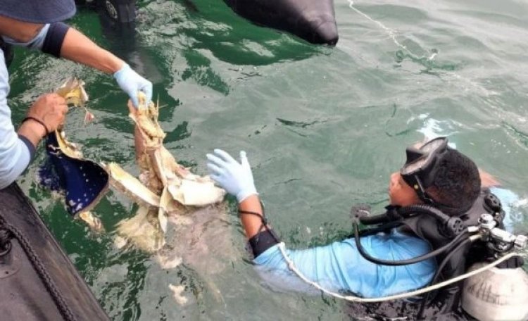 Organ Tubuh Korban Sriwijaya Air Jatuh Ditemukan Penyelam, Begini Kondisinya