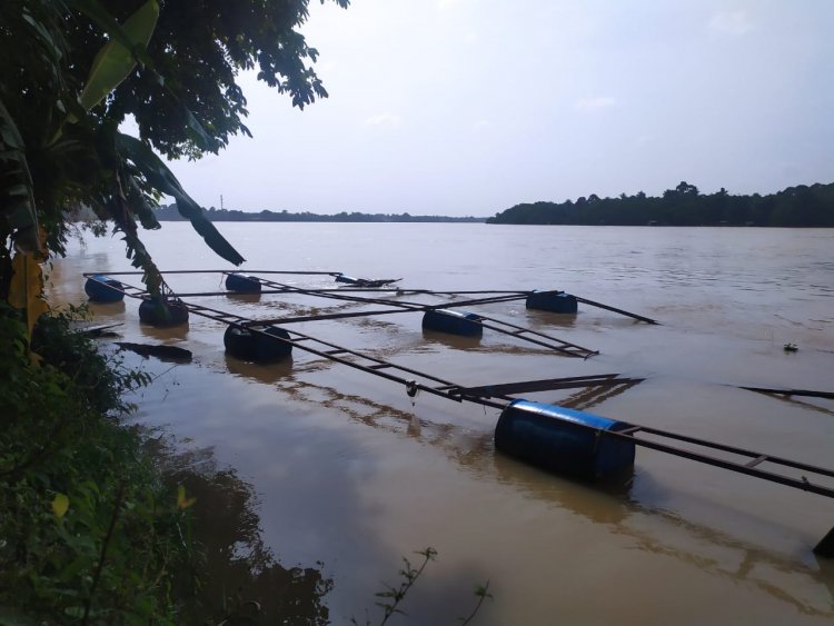 Waspada, Debit Sungai Batanghari Masuki Level Siaga IV