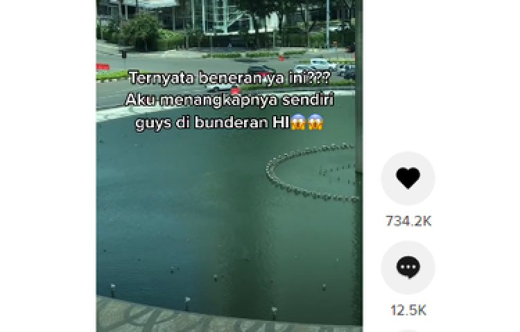 Viral Benda Bergerak di Kolam Bundaran HI dan Dikira Buaya atau Ular, Begini Kata Dinas Terkait