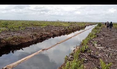 Lagi, Polres Muarojambi Amankan Belasan Kubik Kayu Ilegal