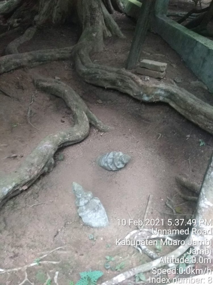 Bukti Peninggalan Peradaban Melayu di Jambi Kecil Muarojambi, Mulai dari Makam hingga Fakta Keturunan Raden