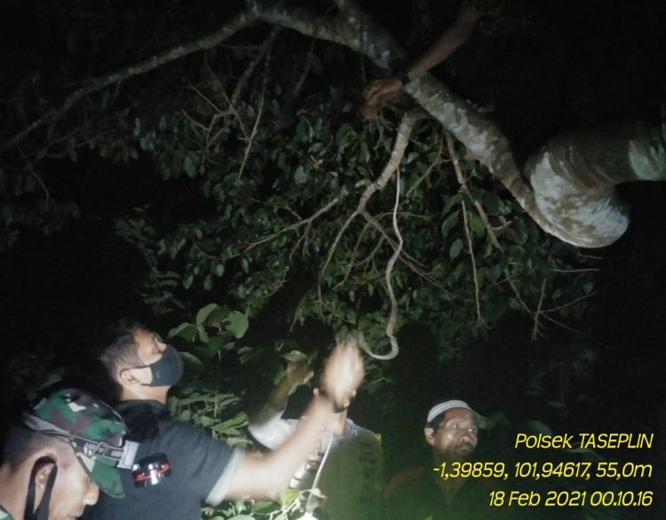 Pemuda di Bungo Ini Ditemukan Tewas Tergantung di Pohon Jengkol