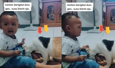 Viral Reaksi Bocah Ini Saat Susunya Diminum Kucing, Netizen: Sudah Tahu dari tadi Ada yang Mengintai...