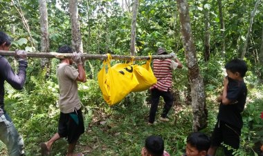 Warga Bungo-Jambi, Heboh Temukan Mayat di Pondok Kebun dalam Kondisi Membusuk