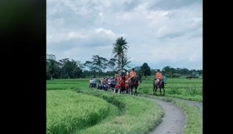Viral Pengantin Diarak Gunakan Kuda, Netizen: Kuda Putih Kasihan...