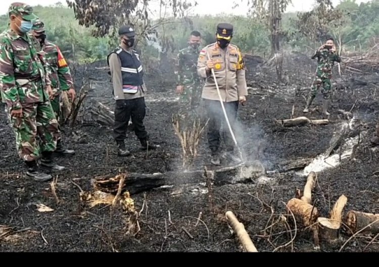 Karhutla Kembali Terjadi di Muarojambi, 1,5 Hektare Lahan Karet Hangus Terbakar