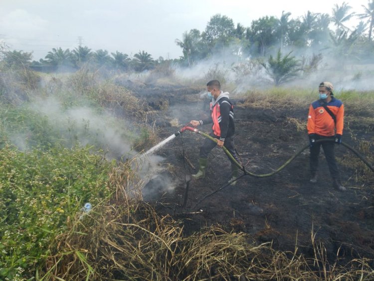 Lahan di Kasangpudak Muarojambi Terbakar, Segini Luasnya