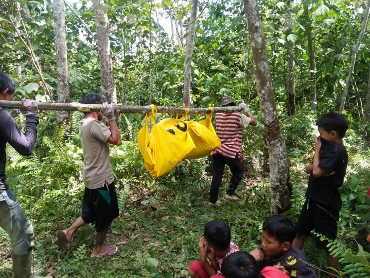 Warga Bungo-Jambi, Heboh Temukan Mayat di Pondok Kebun dalam Kondisi Membusuk