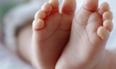 Heboh! Bayi Laki-laki Lahir Miliki 3 Penis