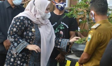 Bupati Masnah Buka Pameran Bonsai di Desa Kasang Lopak Alai