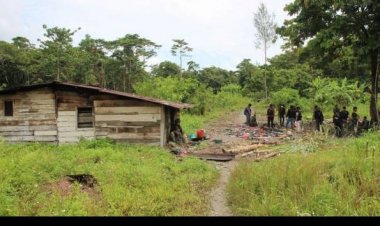 Kabinda Papua Meninggal Saat Baku Tembak KKB, BIN: Gugur sebagai Pahlawan di Lokasi Kejadian