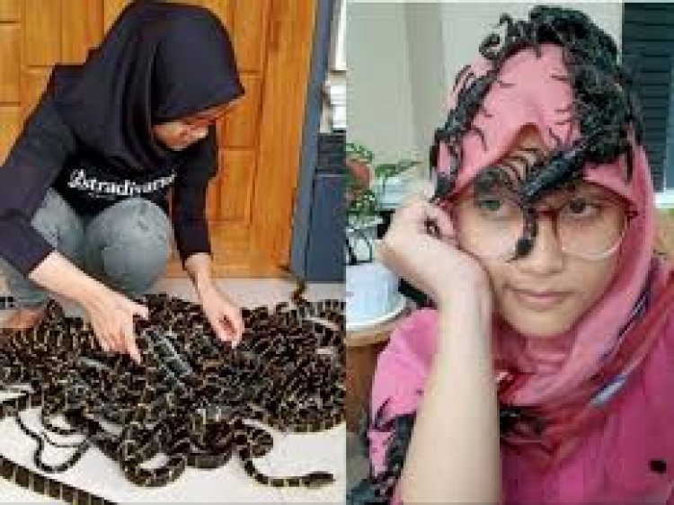 Viral! Cewek Berhijab Menggendong Puluhan Ular Berbisa, Netizen: Situ yang Gendong, Gue yang Merinding