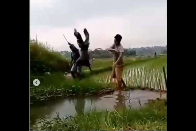 Viral Bocah Dilempar ke Kali oleh Pemuda, Netizen Meradang