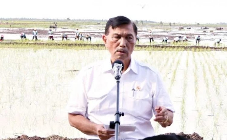 Gara-gara Nadiem, Kiai Sepuh Protes ke Luhut Soal Nama KH Hasyim Asy'ari Tak Masuk Kamus Sejarah