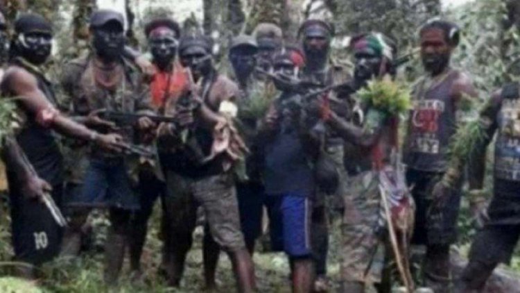 Soal KKB Teroris, PAN: TNI dan Polri Harus Tegas, Jangan lembek!