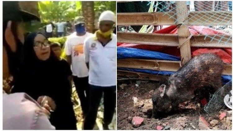Duh! Ibu Wati Viral Tuding Tetangga Kaya karena Babi Ngepet, Ternyata Buka Praktik Paranormal