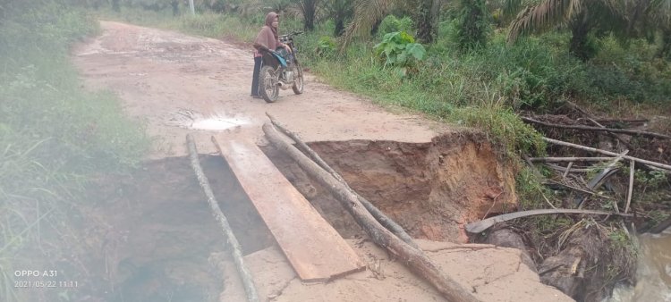 Diterjang Longsor, Jalan 2 Desa di Muarojambi Putus